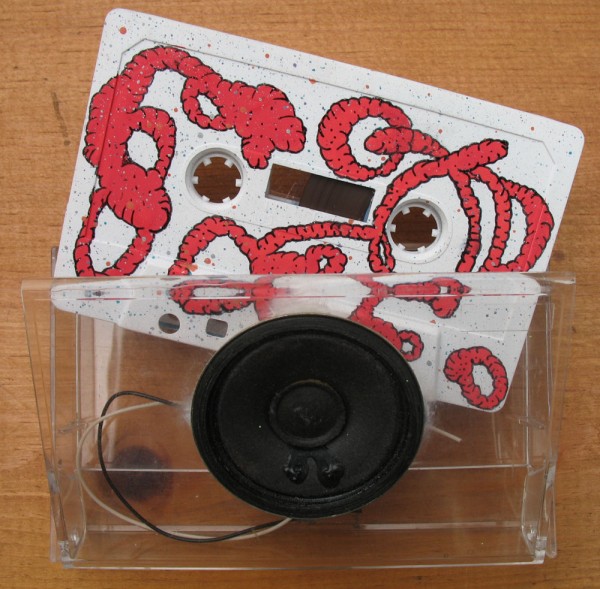cassincase1-600x589