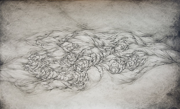 draw