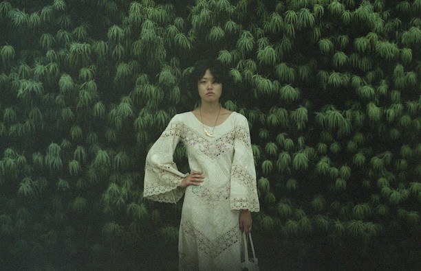 10_butterflies05