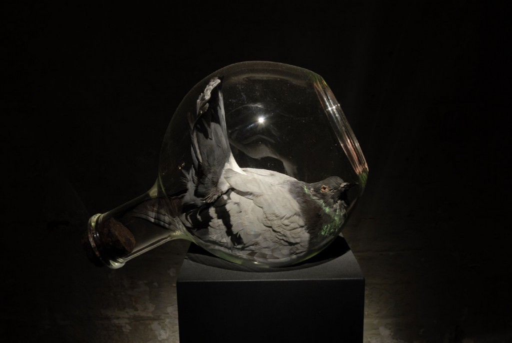 art blog - Polly Morgan - empty kingdom