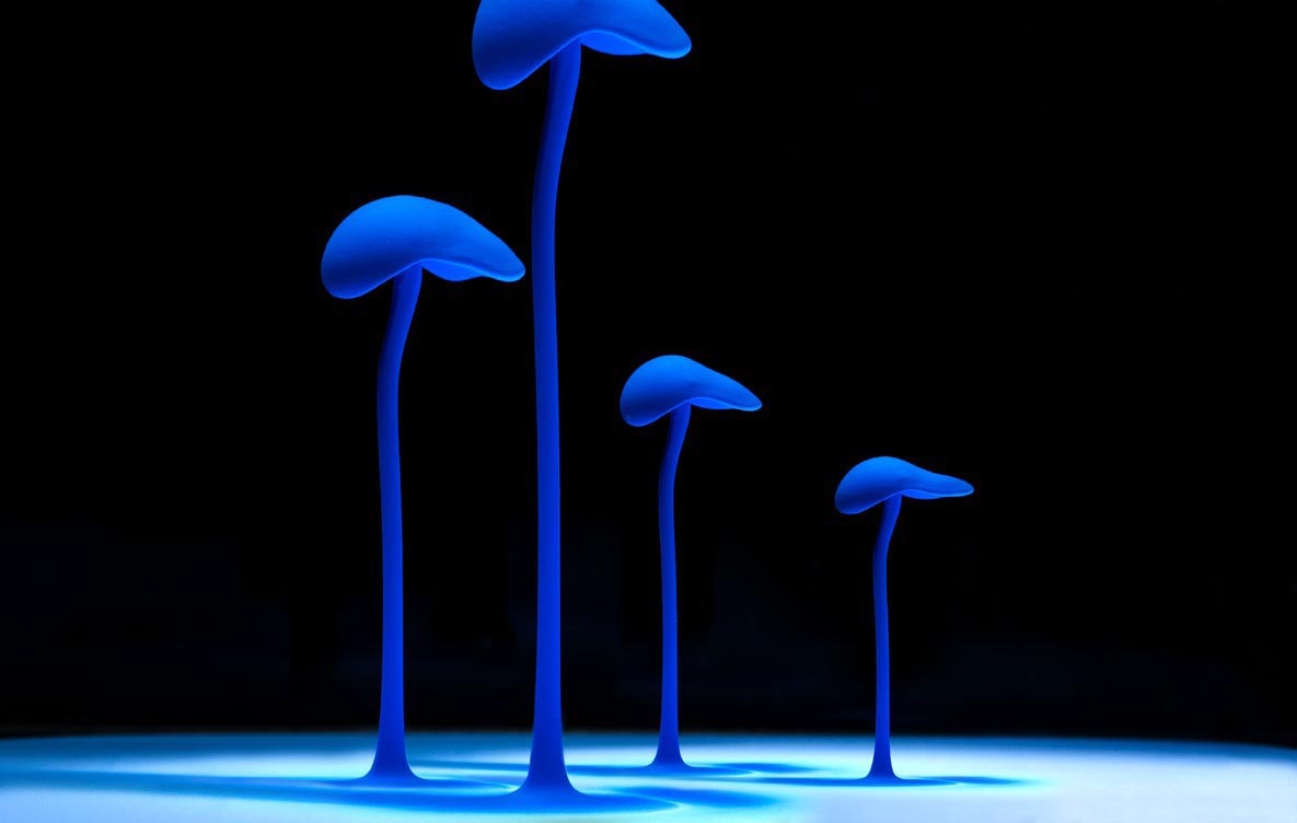 Aqueous