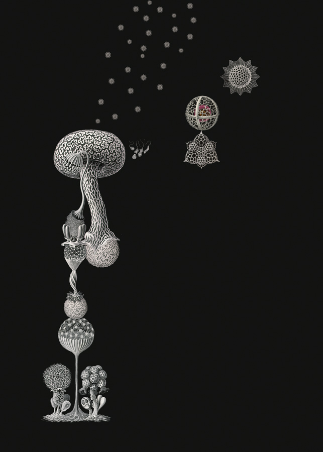 esporadicofortuitoWEB art blog - Luis Toledo - empty kingdom