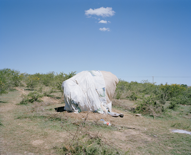 6886-53 001 art blog - David Chancellor - empty kingdom
