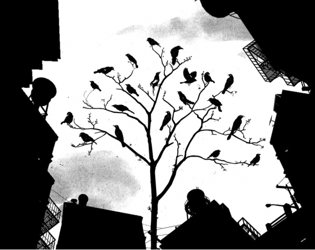 art blog - David Foldvari - empty kingdom