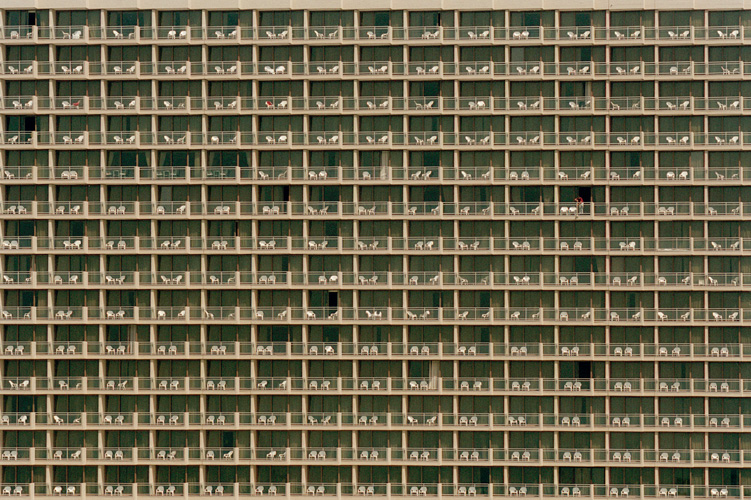 israel02raw8 art blog - David Chancellor - empty kingdom