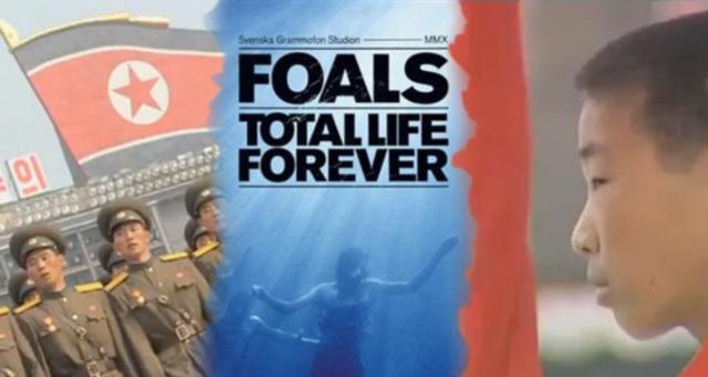 foals1