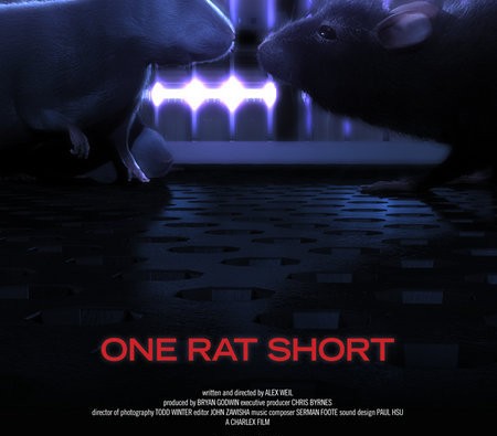 one rt short