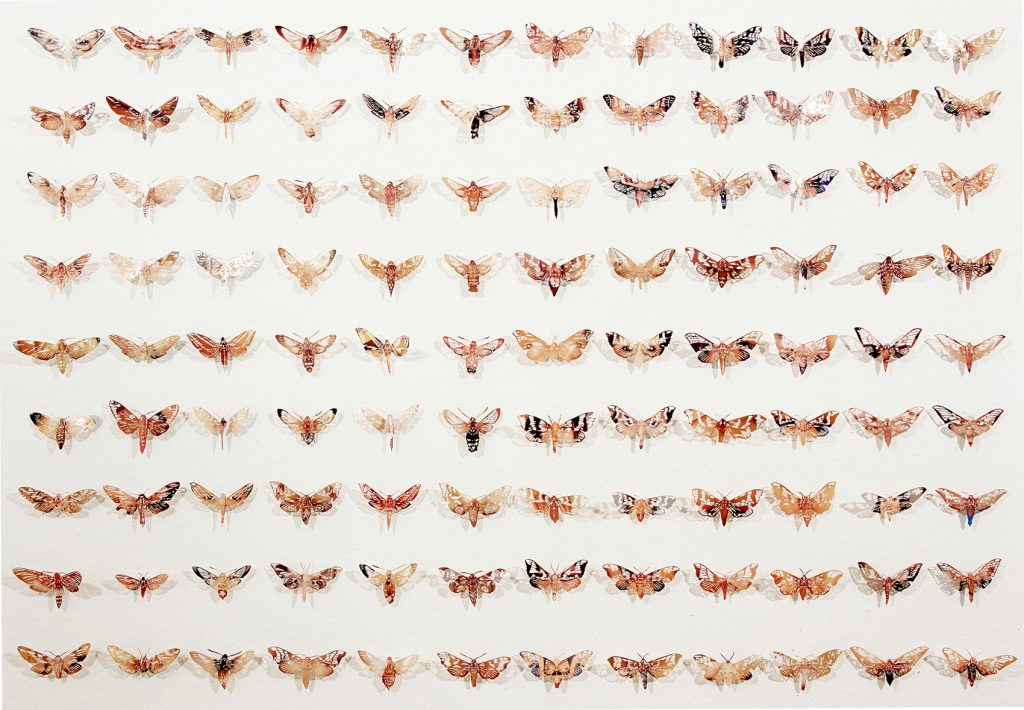19_1108moths art blog - Tom Gallant - Empty Kingdom