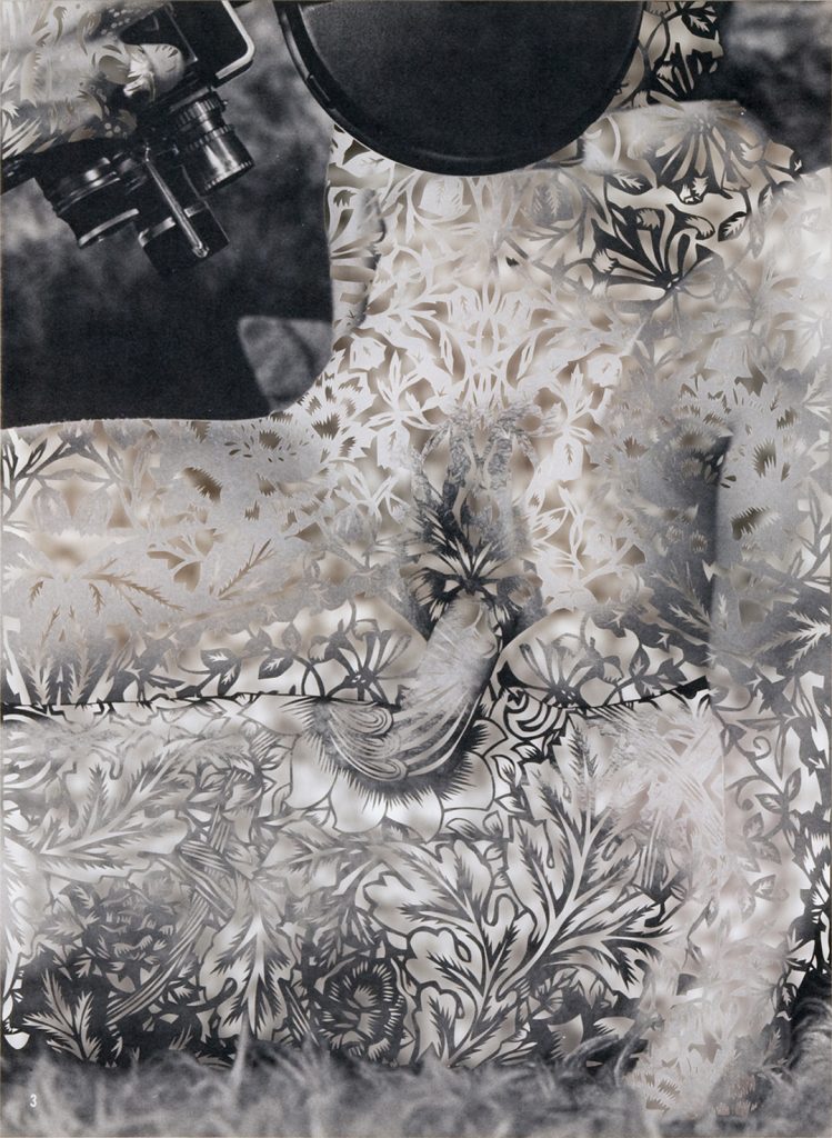 20_honey art blog - Tom Gallant - Empty Kingdom