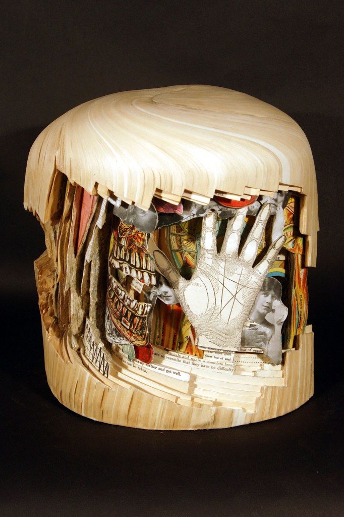 art blog - Brian Dettmer - empty kingdom