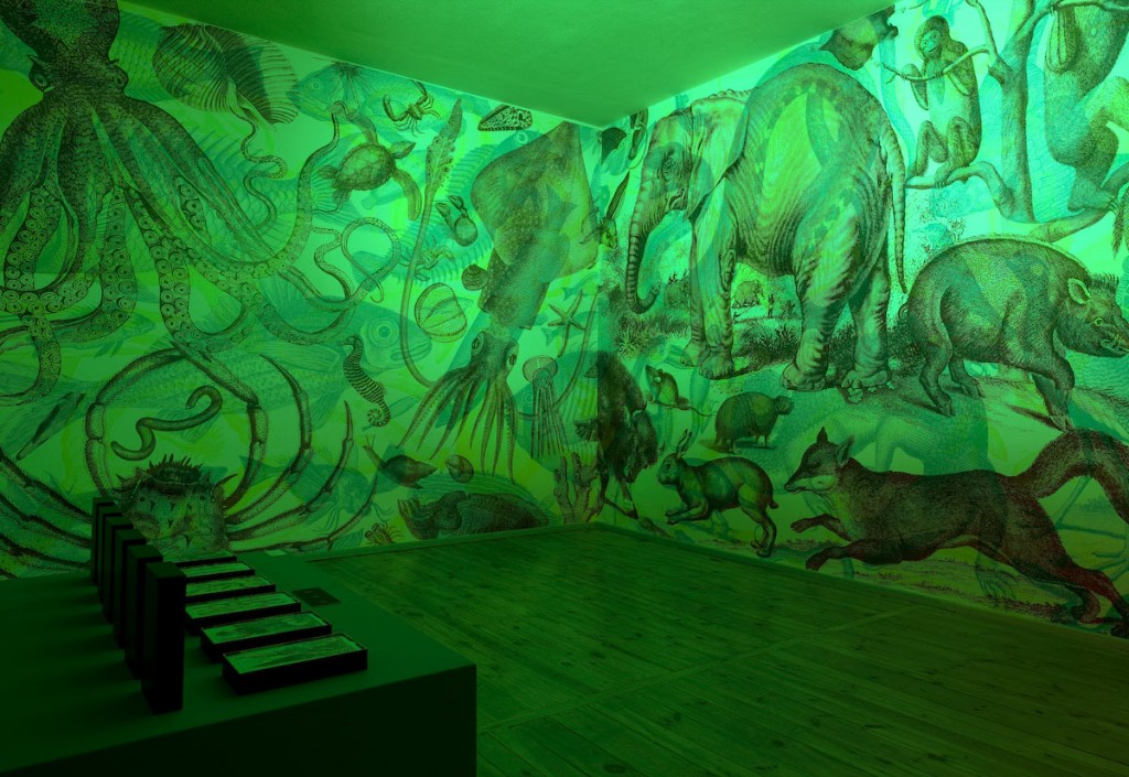 carnovsky_installation-17 art blog - Carnovsky - Empty Kingdom