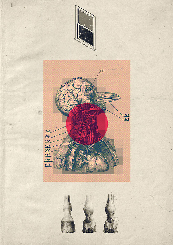 3848398146_2d8096fc10_o art blog - Matija Drozdek - empty kingdom