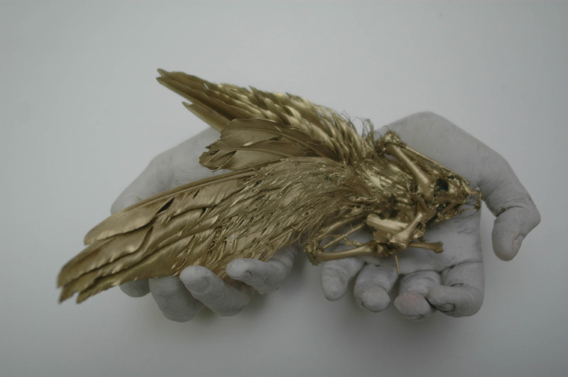 goldWings3 art blog - Ronit Baranga - Empty Kingdom