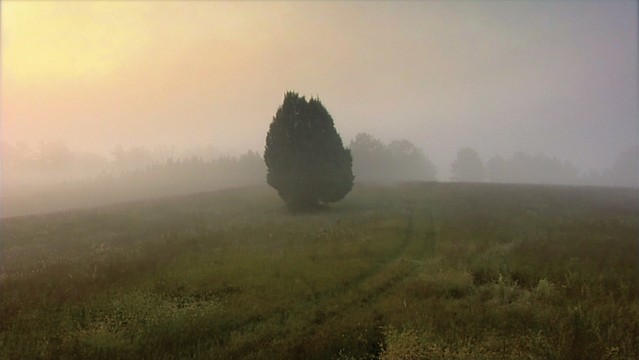 3_e_midi