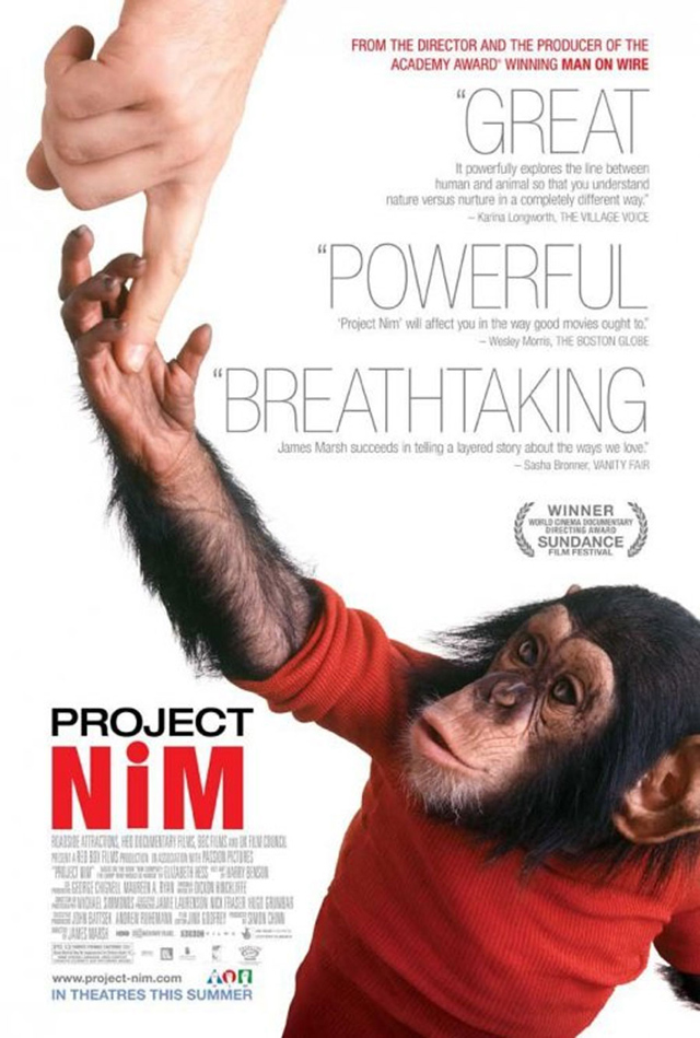 p_e_Project_Nim_13059253675588