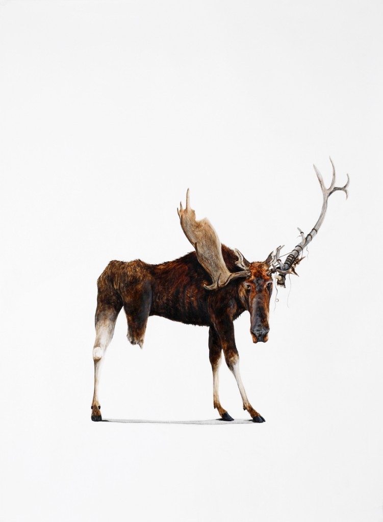 McLennan_TheStoryteller art blog - Ryan McLennan - Empty Kingdom