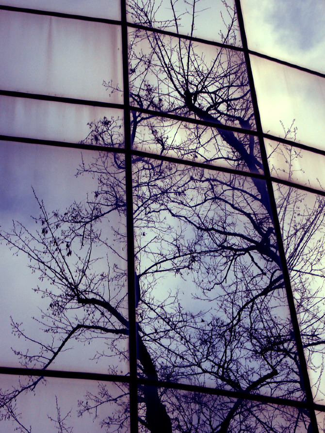 tress_LOW