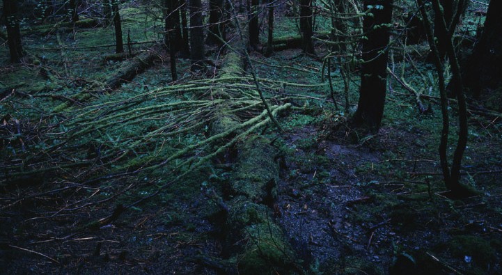 Picture 7