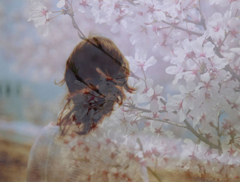 girlwithcherryblossom