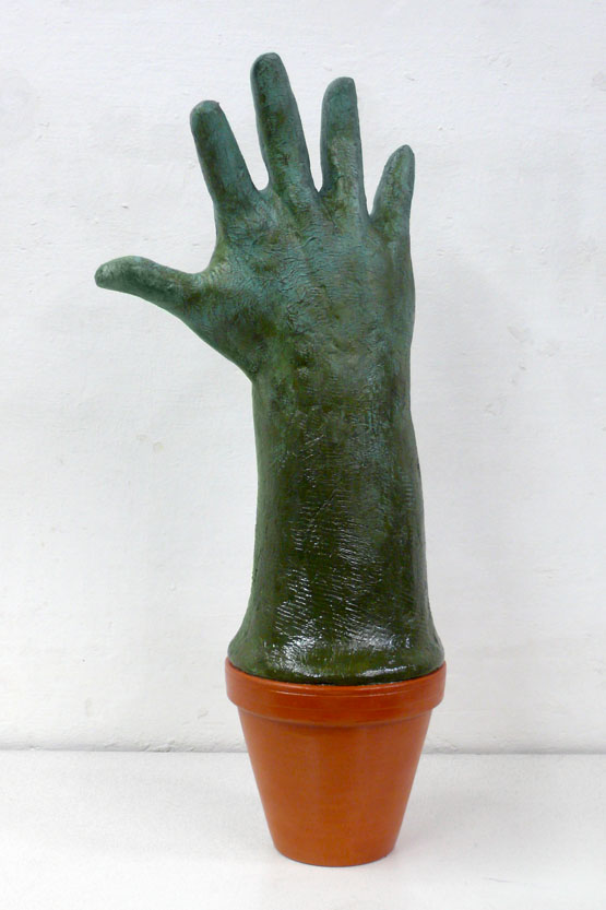 Fünffingerkraut-2010