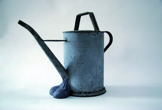 Geeignet-zur-Zucht-2007