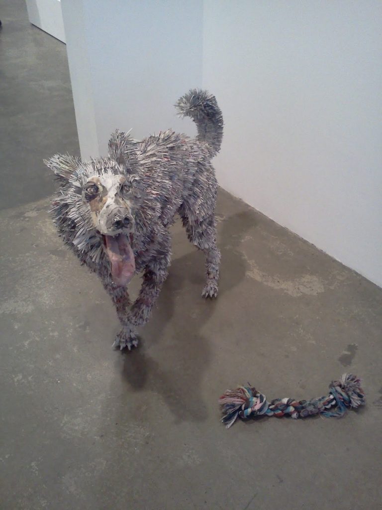 Will Kurtz Dog