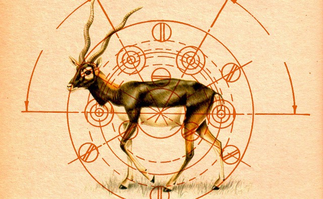 art blog-Kacie Mills-empty kingdom