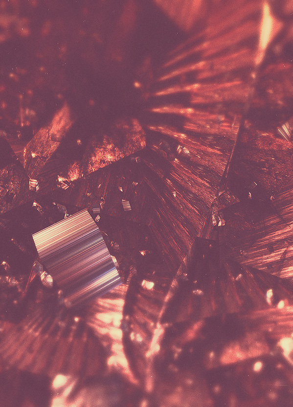 metamorphosen-03