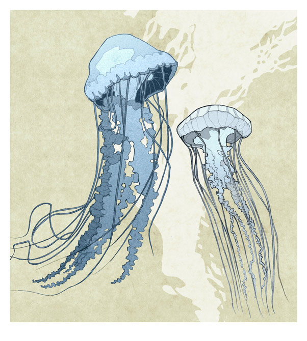722a2d13ad art blog - Colwyn Thomas - Empty Kingdom