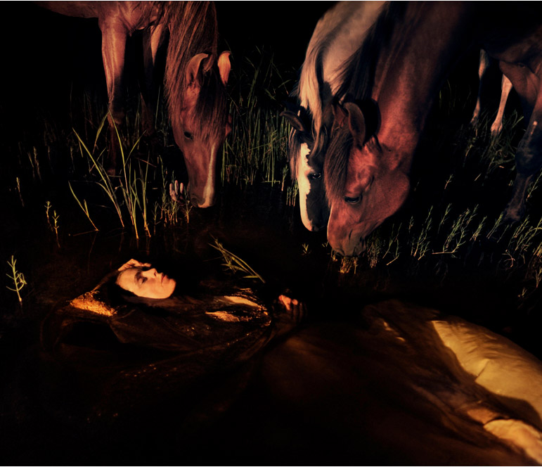 Chambers_web7 Art Blog - Tom Chambers - Empty Kingdom
