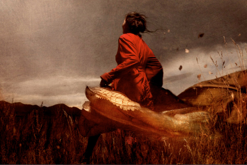 CooperGorfer_web14 Art Blog - Cooper and Gorfer - Empty Kingdom