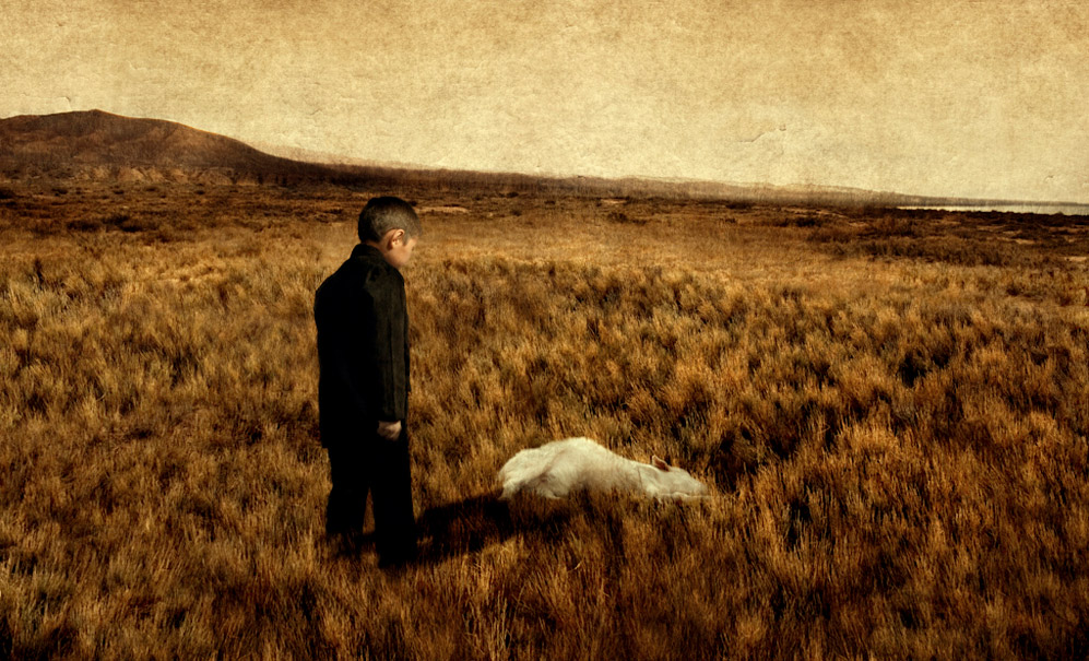 CooperGorfer_web5 Art Blog - Cooper and Gorfer - Empty Kingdom