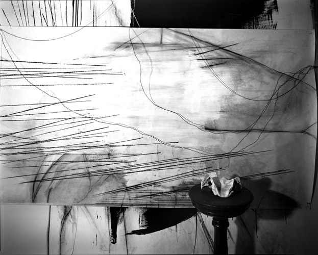 Semivan_web14 Art Blog - Lauren Semivan - Empty Kingdom