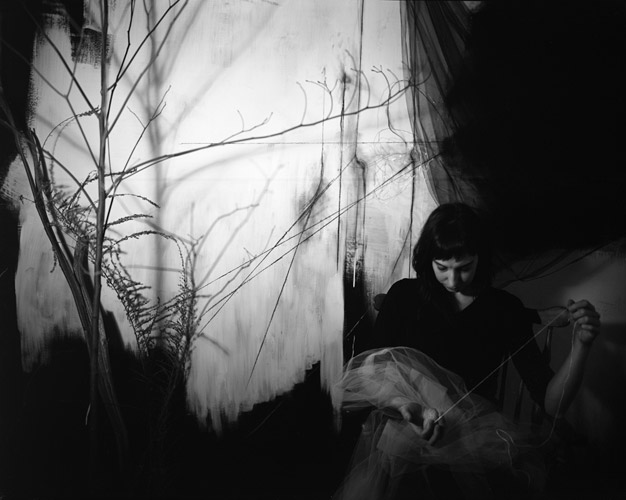 Semivan_web7 Art Blog - Lauren Semivan - Empty Kingdom