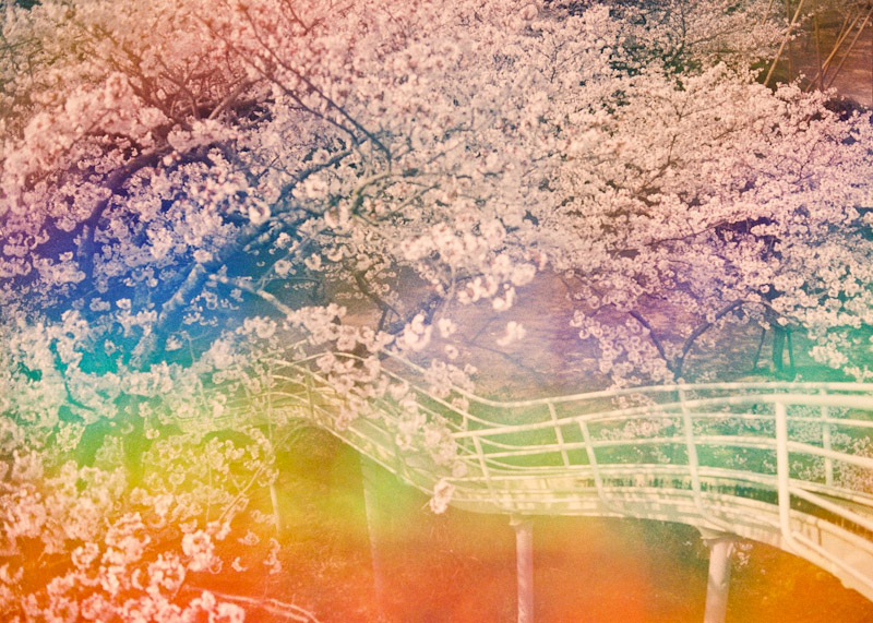 Takeshi-Suga_web7 art blog - Takeshi Suga - empty kingdom