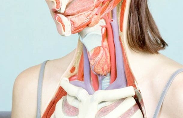 Woman-Anatomy-by-artist-Koen-Hauser-3