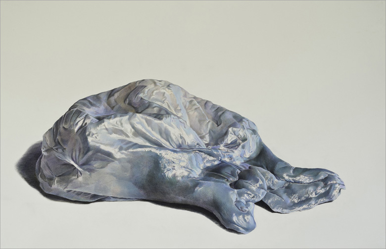 Blueberry large art blog - Julia Randall - Empty Kingdom