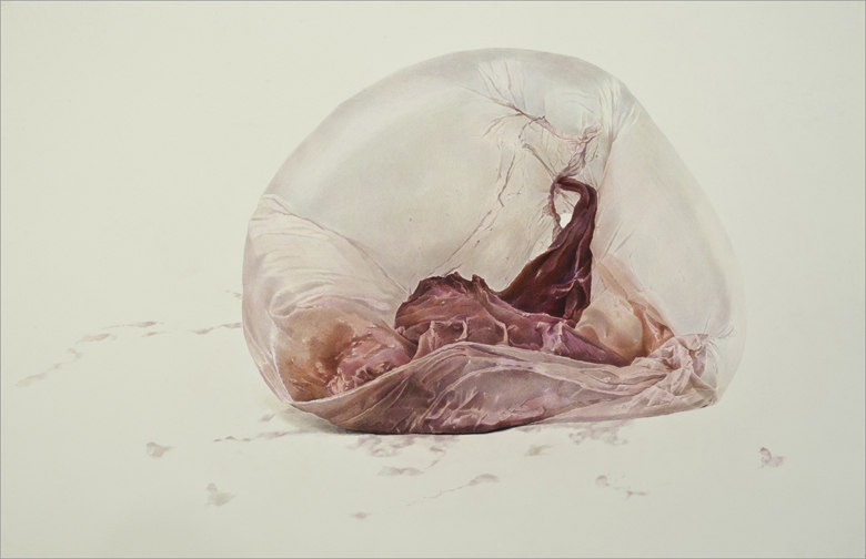 Blush Pink large art blog - Julia Randall - Empty Kingdom