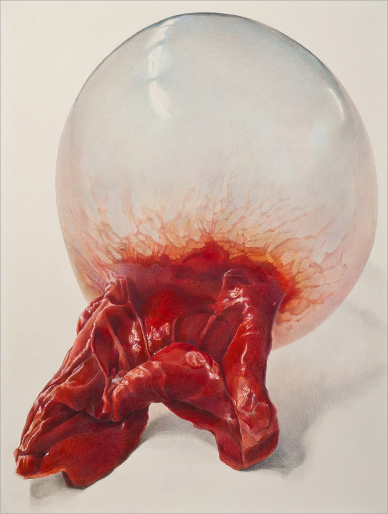 Strawberry large art blog - Julia Randall - Empty Kingdom