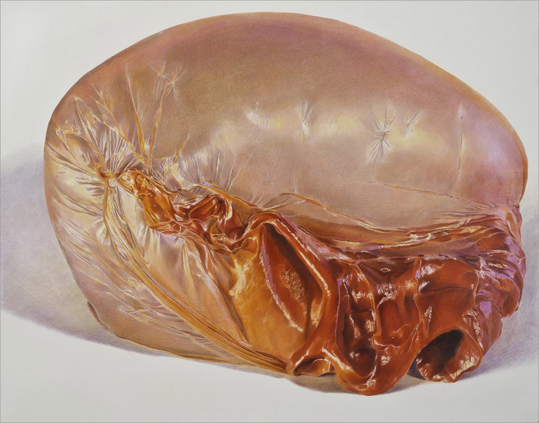 Wild Berry large art blog - Julia Randall - Empty Kingdom