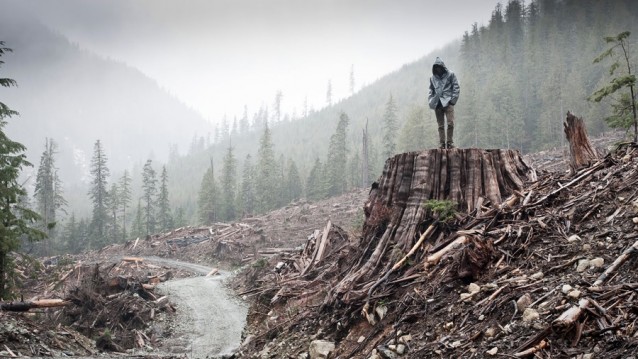 1_e_Marshall-Curry,-Sam-Cullman-_If-a-Tree-Falls-(A-Story-of-the-Earth-Liberation-Front)