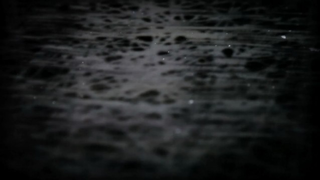 6_e_Daniel-Schwarz,-Davide-Cairo-_VANISH