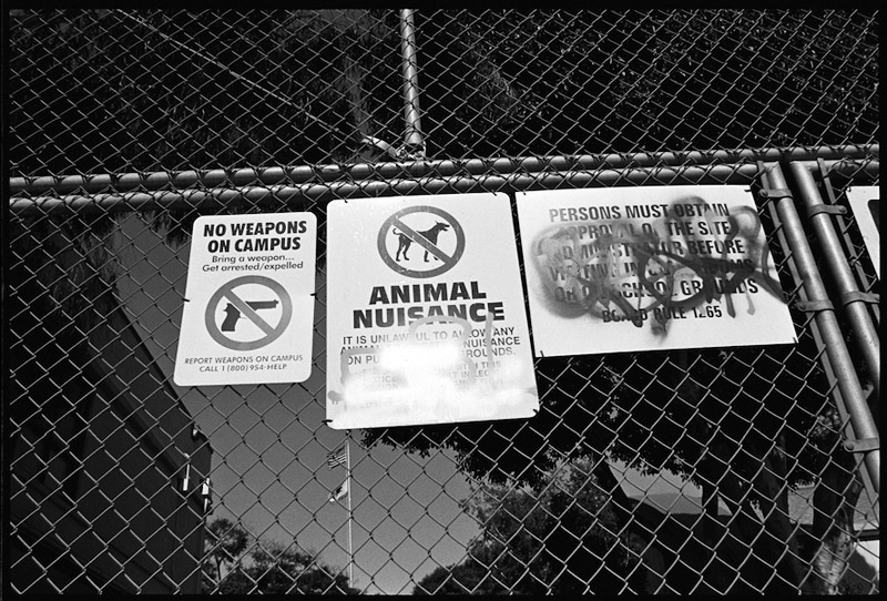 Jorge-Peniche_web9 art blog - Jorge Peniche - empty kingdom