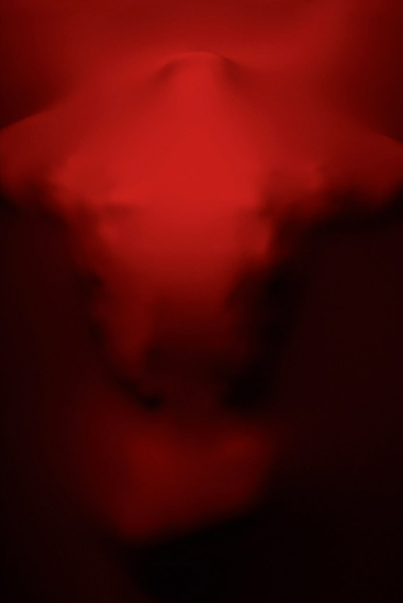 Julien-Palast_web5 art blog - Julien Palast - empty kingdom