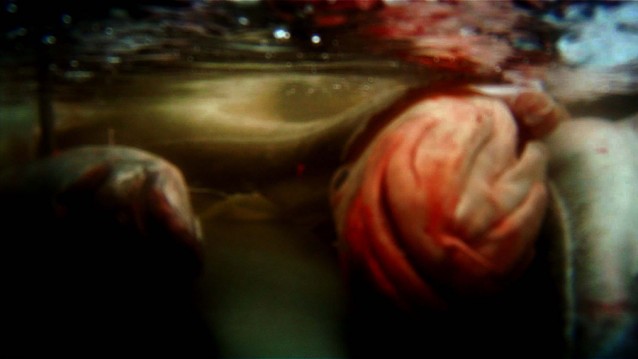 6_e_Véréna-Paravel,-Lucien-Castaing-Taylor-_Leviathan