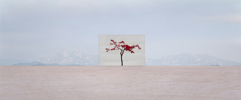 Myoung Ho Lee_Web1 art blog - Myoung Ho Lee - empty kingdom