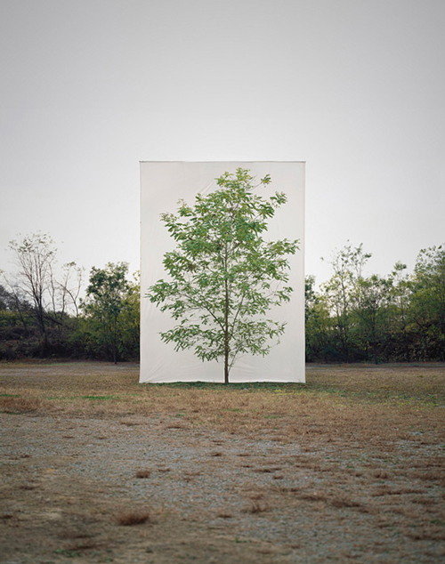 Myoung Ho Lee_Web10 art blog - Myoung Ho Lee - empty kingdom
