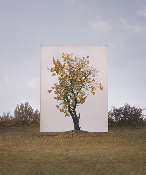 Myoung Ho Lee_Web11 art blog - Myoung Ho Lee - empty kingdom