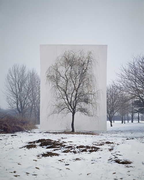 Myoung Ho Lee_Web12 art blog - Myoung Ho Lee - empty kingdom