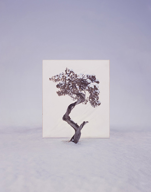 Myoung Ho Lee_Web13 art blog - Myoung Ho Lee - empty kingdom